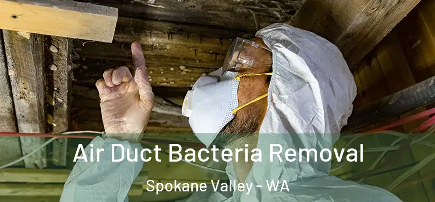 Air Duct Bacteria Removal Spokane Valley - WA