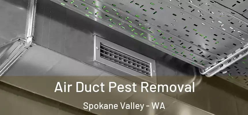 Air Duct Pest Removal Spokane Valley - WA