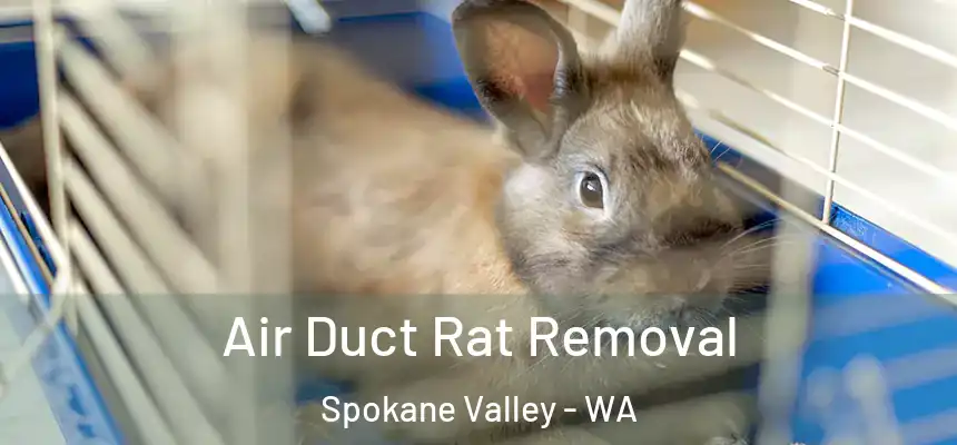 Air Duct Rat Removal Spokane Valley - WA