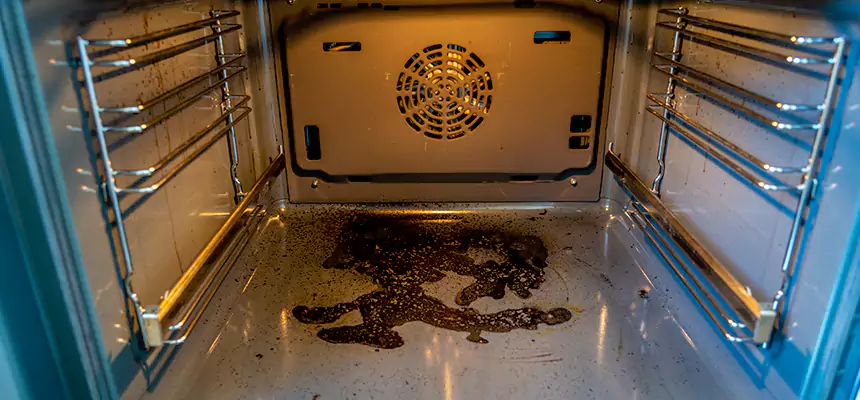 Our Dryer Vent Mold Cleaning Services in Spokane Valley, WA