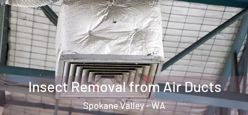 Insect Removal from Air Ducts Spokane Valley - WA