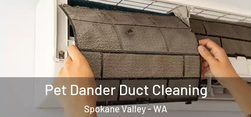 Pet Dander Duct Cleaning Spokane Valley - WA