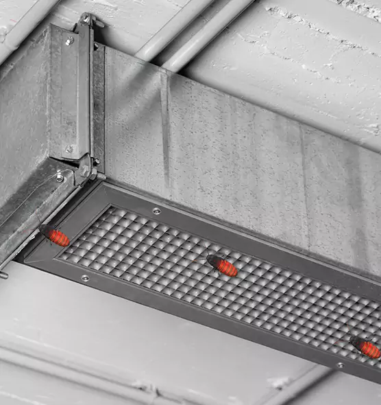 About Air Duct Cockroach Removal in Spokane Valley, WA