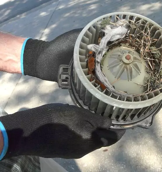 About Air Duct Mice Removal in Spokane Valley, WA