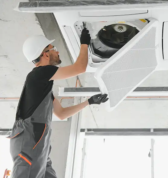 About Air Duct Rodent Removal in Spokane Valley, WA