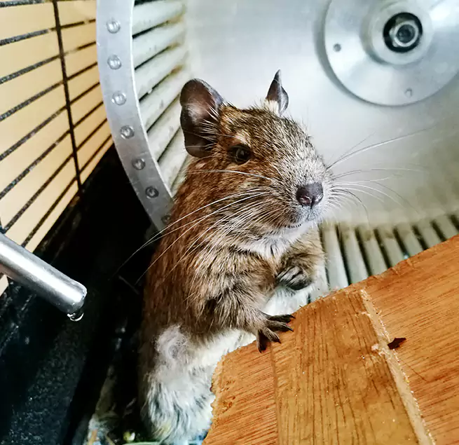 Why Homeowners & Businesses Trust Us Spokane Valley, WA